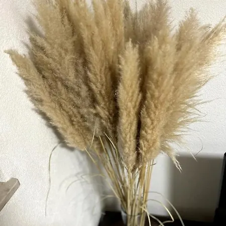 Souterrainwohnung - Remseck am Neckar