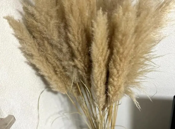 Souterrainwohnung - Remseck am Neckar